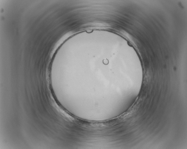 X0000062891243200602031759