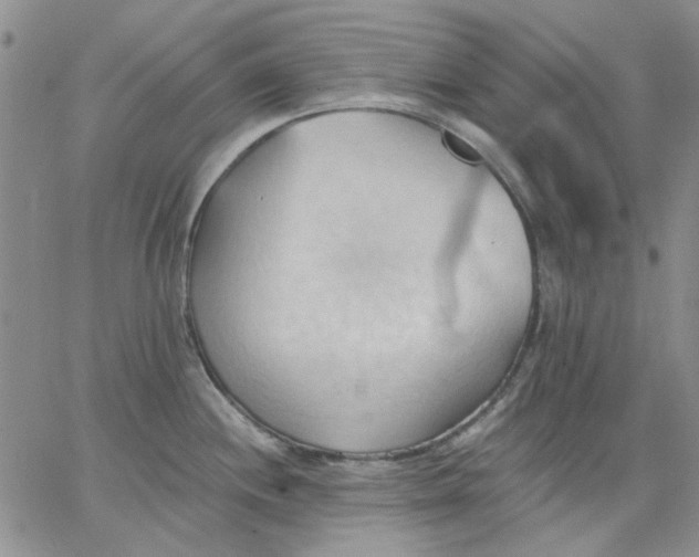 X0000062891244200602031759