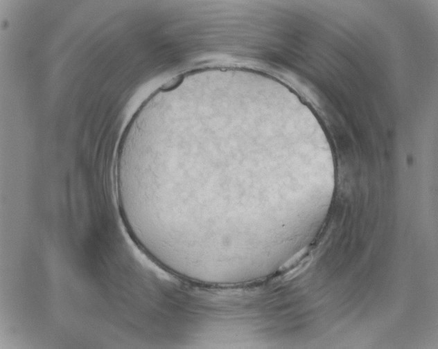 X0000062891247200602031759