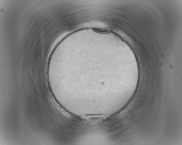 X0000062891248200602031759