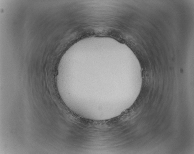 X0000062891249200602031758