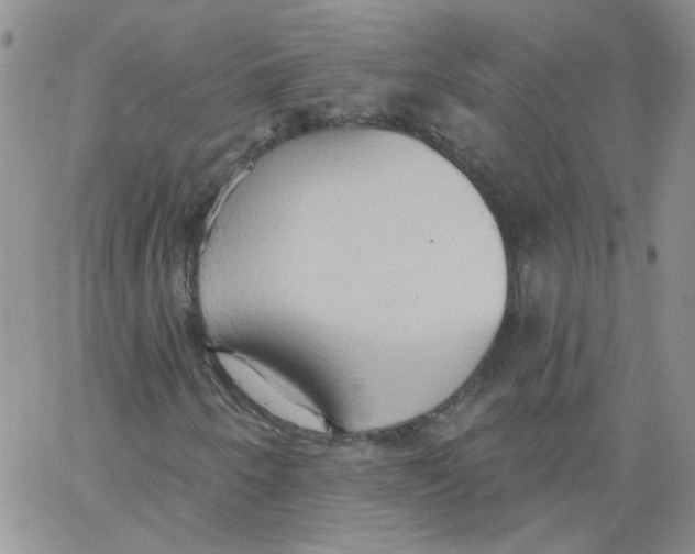 X0000062891250200602031758