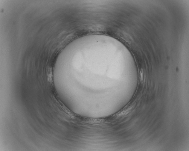 X0000062891251200602031758