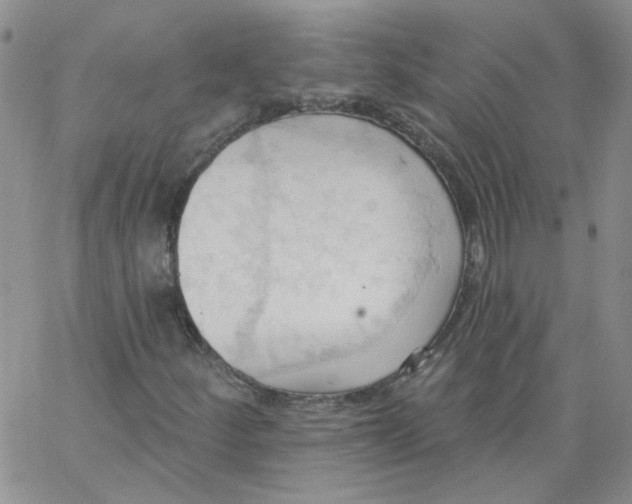 X0000062891252200602031758