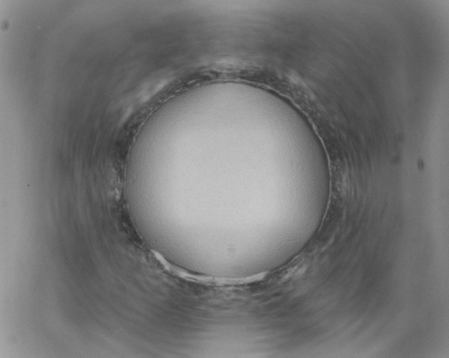 X0000062891253200602031758