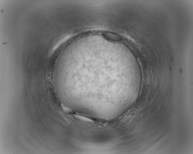 X0000062891255200602031758