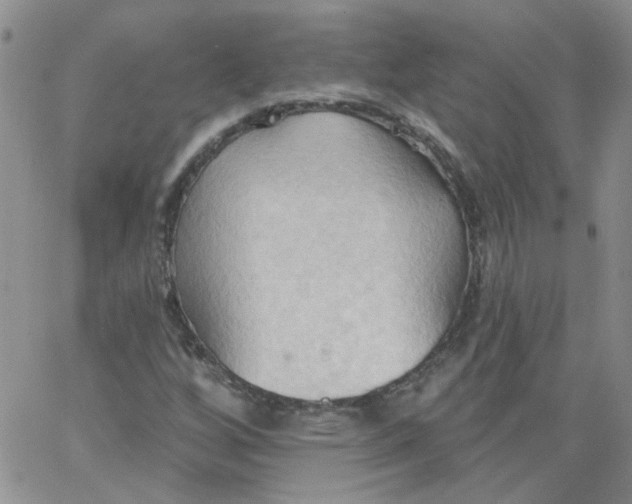 X0000062891256200602031758