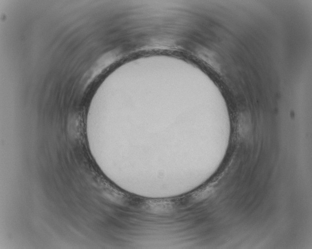 X0000062891258200602031758