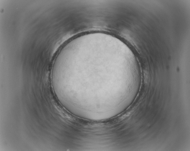 X0000062891260200602031758