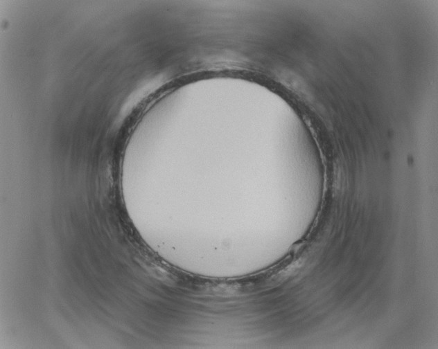 X0000062891261200602031758