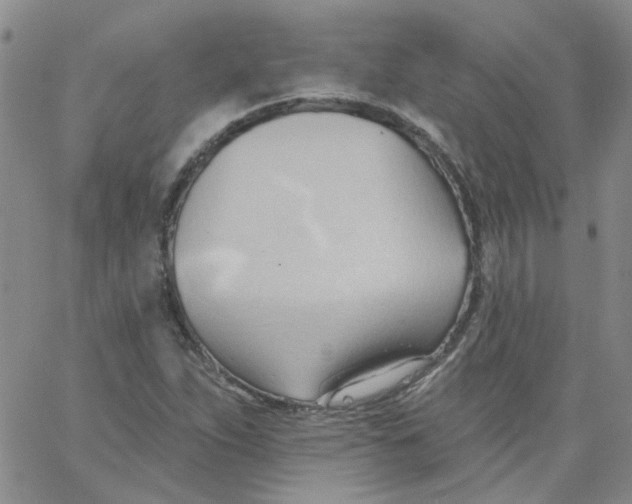 X0000062891263200602031758