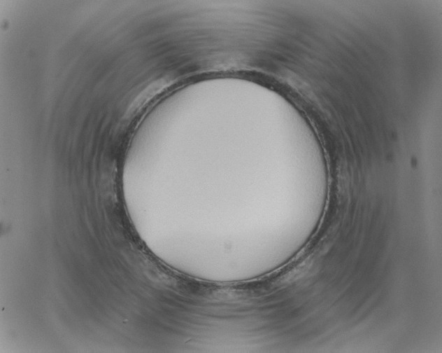 X0000062891265200602031758