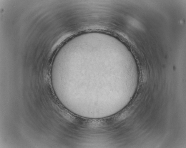 X0000062891266200602031758