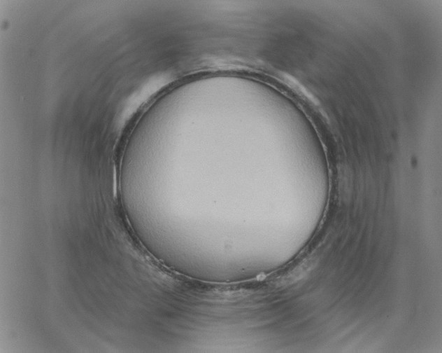 X0000062891269200602031758