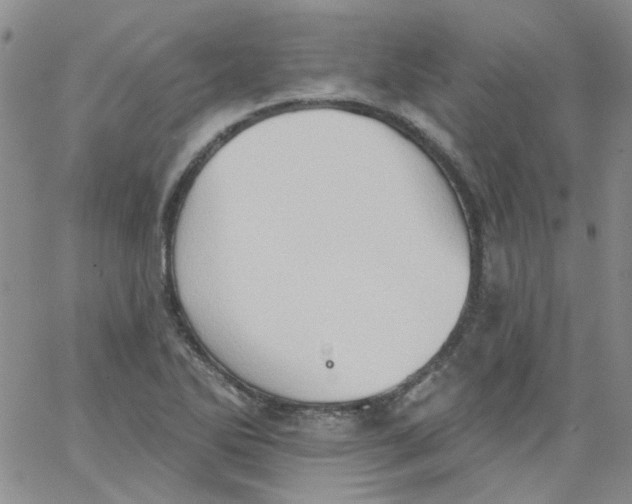 X0000062891270200602031758