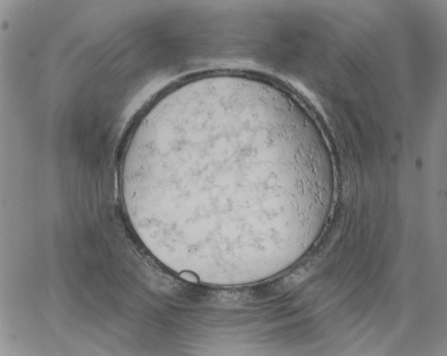 X0000062891271200602031758