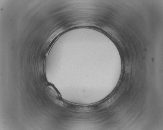 X0000062891273200602031758