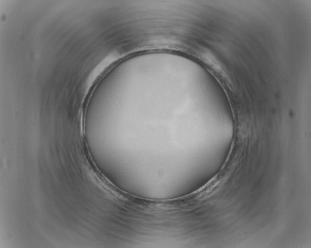 X0000062891275200602031758