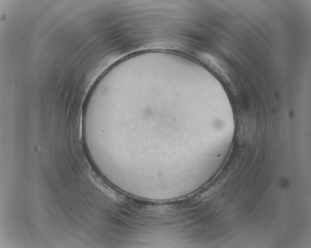 X0000062891276200602031758