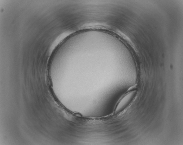 X0000062891277200602031758