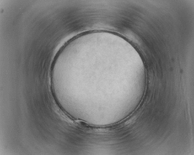 X0000062891280200602031758