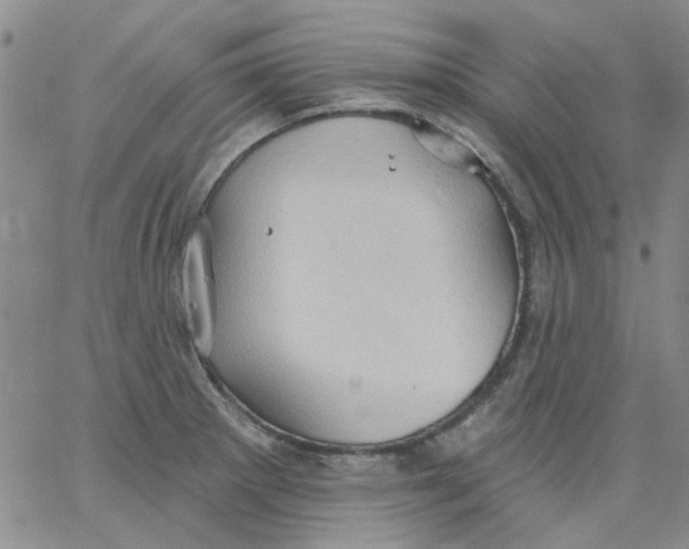 X0000062891281200602031758