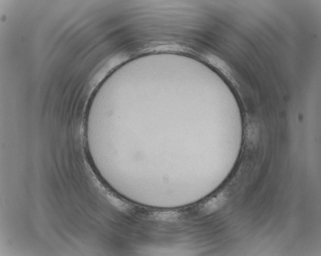 X0000062891282200602031758