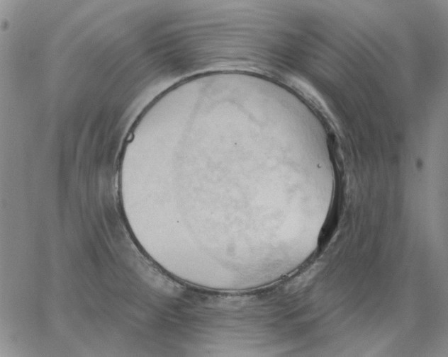 X0000062891284200602031758