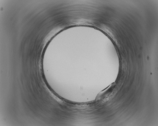 X0000062891285200602031758