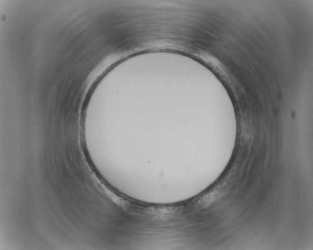 X0000062891286200602031758