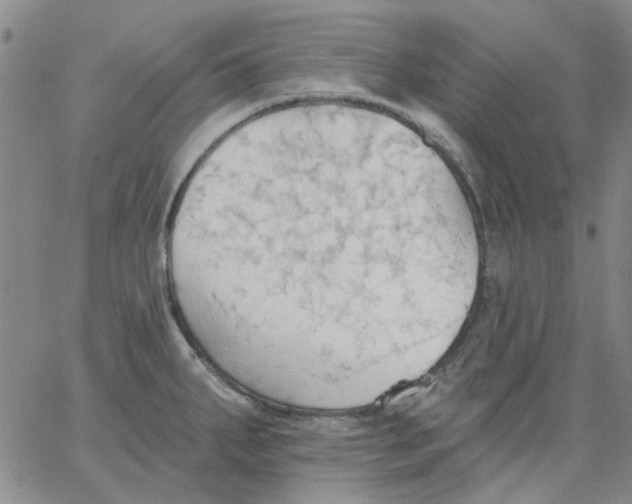 X0000062891287200602031758