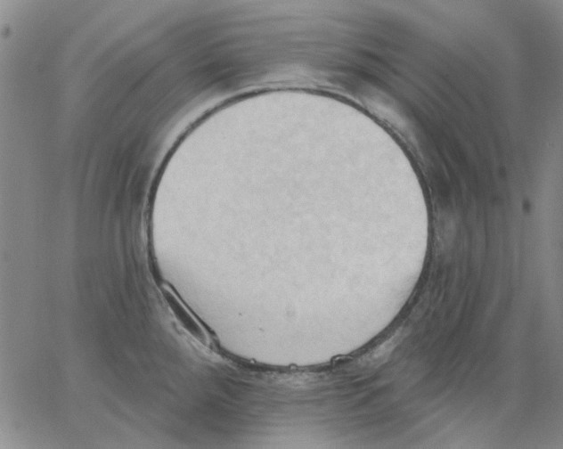 X0000062891288200602031758