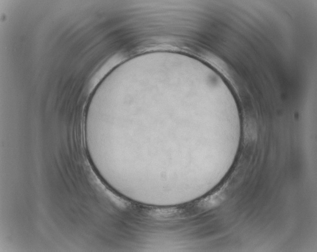 X0000062891290200602031758