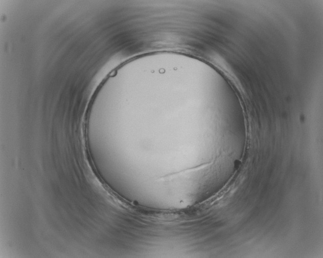 X0000062891291200602031758