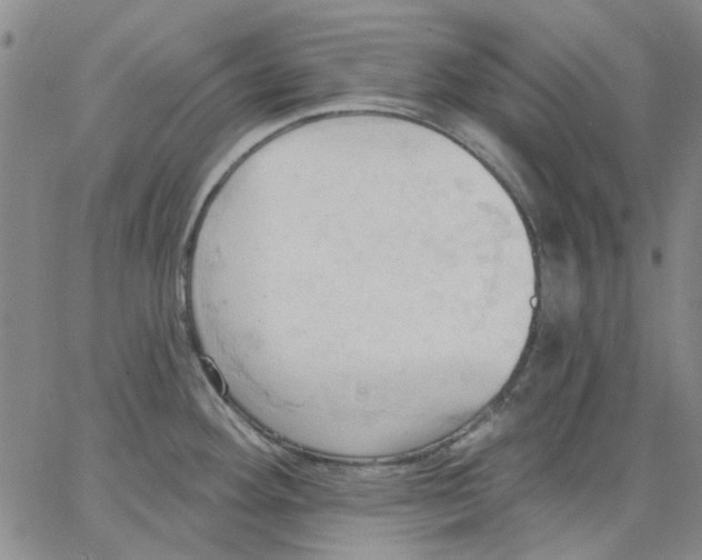 X0000062891292200602031758