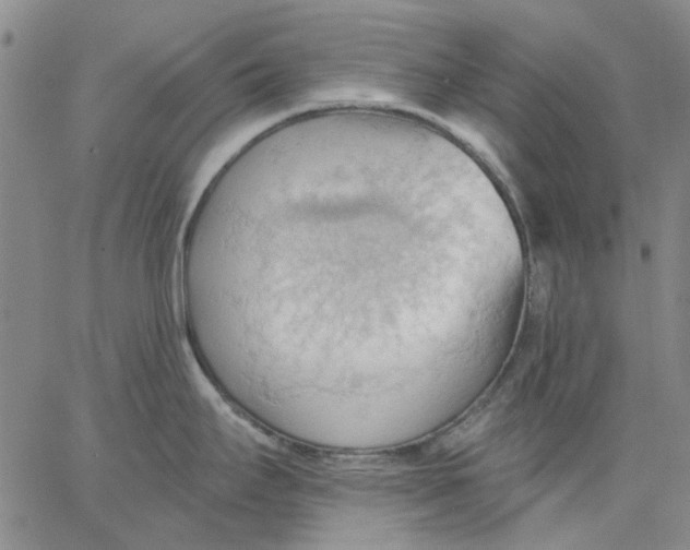 X0000062891295200602031758