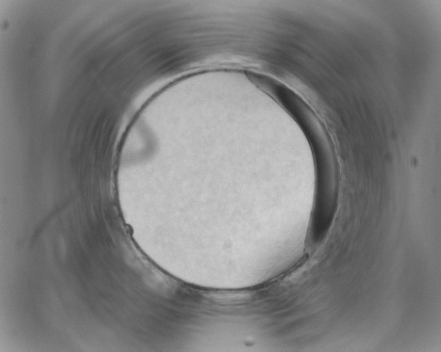 X0000062891296200602031758