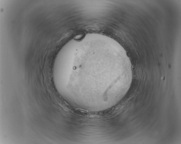 X0000062891297200602031757