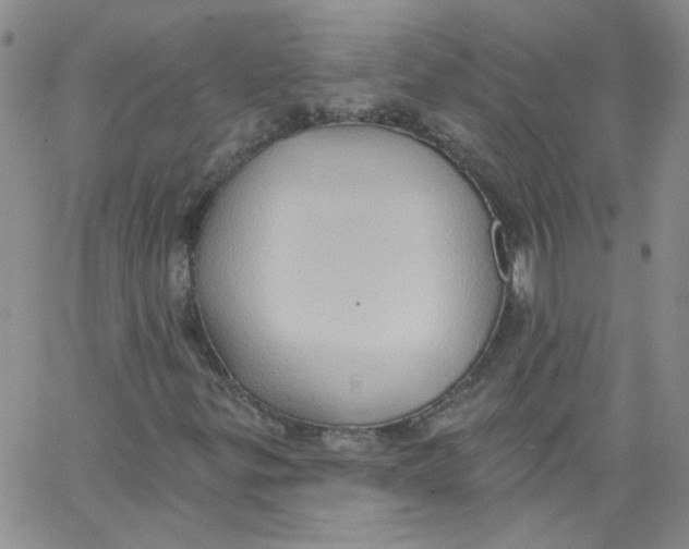 X0000062891299200602031757