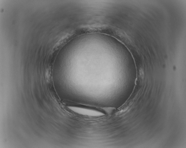 X0000062891300200602031757