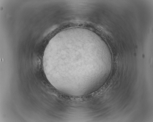 X0000062891302200602031757