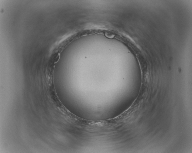 X0000062891303200602031757