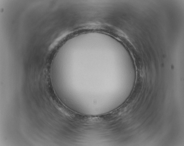 X0000062891304200602031757