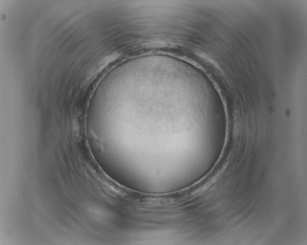 X0000062891305200602031757