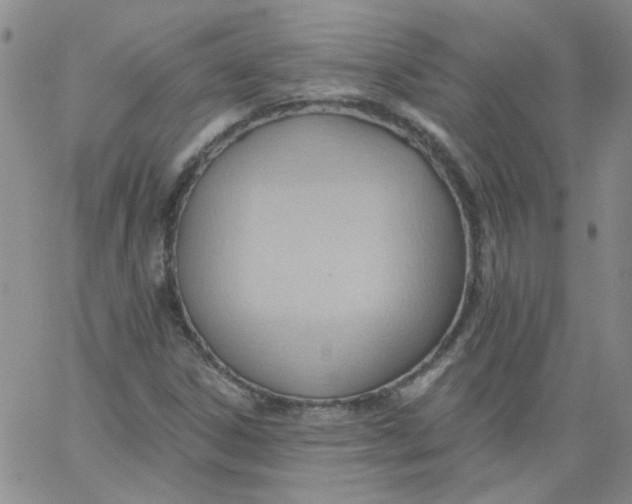 X0000062891306200602031757