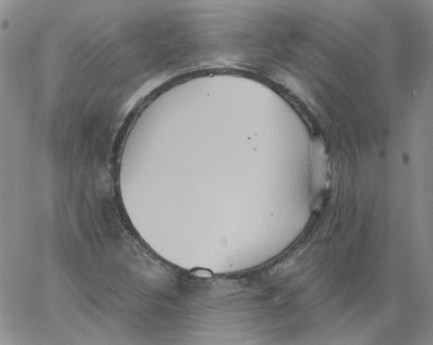 X0000062891308200602031757