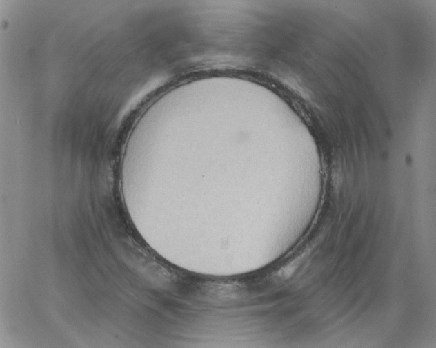 X0000062891309200602031757