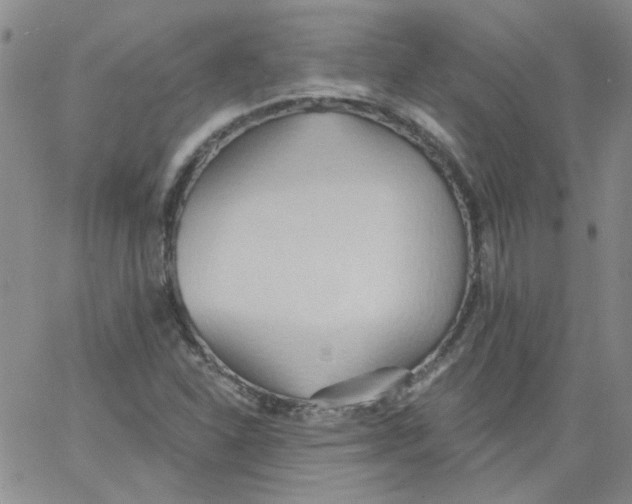 X0000062891310200602031757