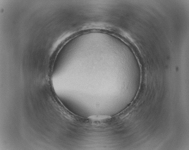 X0000062891312200602031757