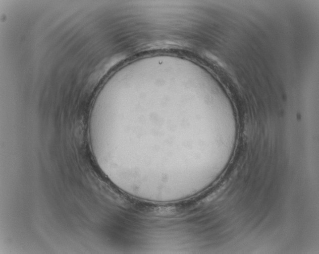 X0000062891313200602031757